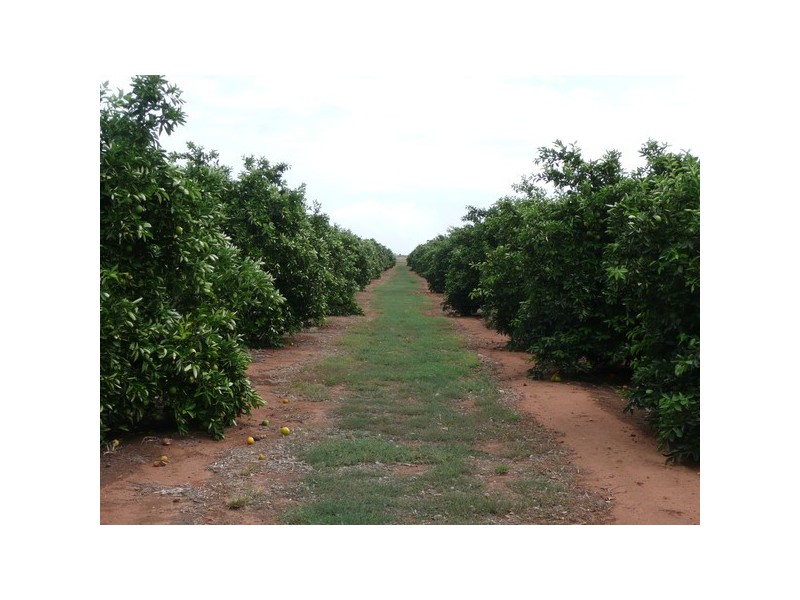 Farm 2656 Irrigation Way, Widgelli NSW 2680