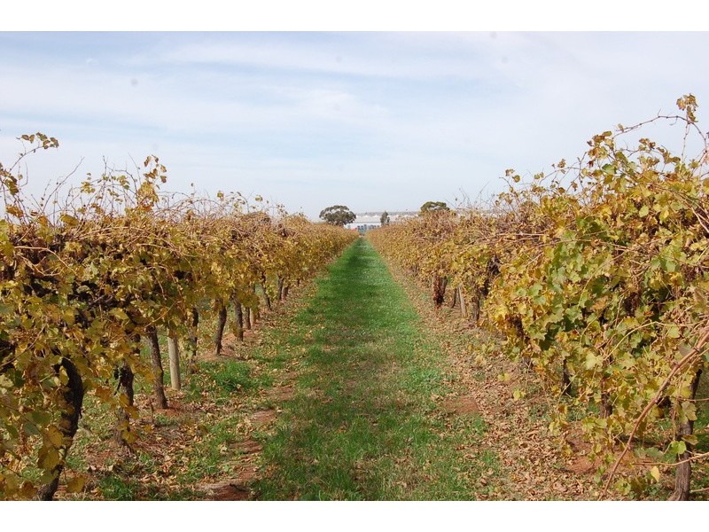 Farm /1526 McClure Road, Yenda NSW 2681