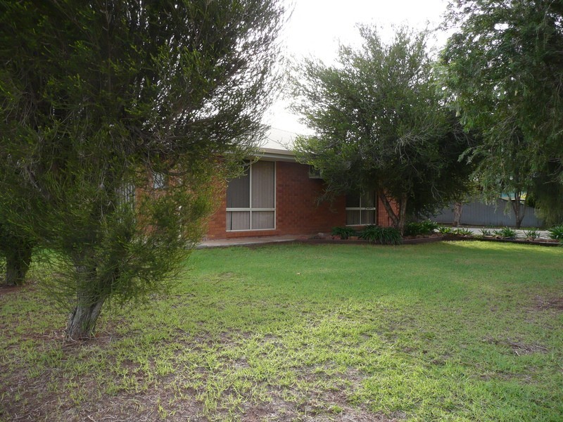 17 Chant Street, Darlington Point NSW 2706