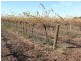 Farm 2776 Marchington Road, Yenda NSW 2681