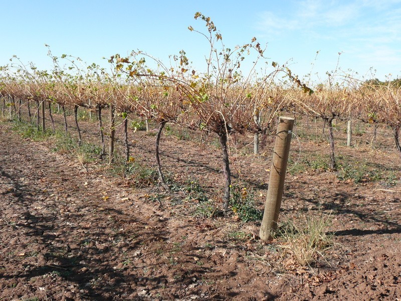 Farm 2776 Marchington Road, Yenda NSW 2681