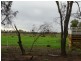 Farm 218 Elaroo Road, Coleambally NSW 2707