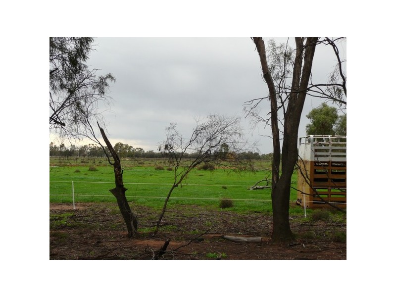 Farm 218 Elaroo Road, Coleambally NSW 2707