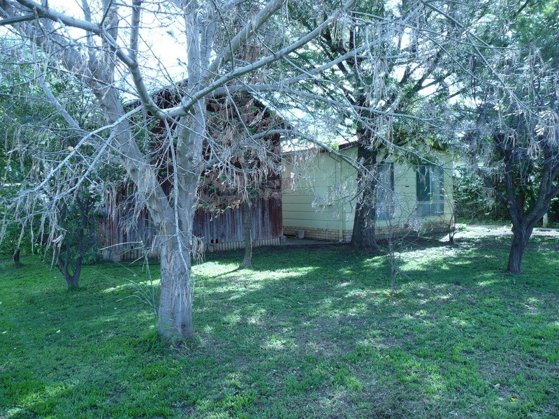 3 Carrington Street, Darlington Point NSW 2706