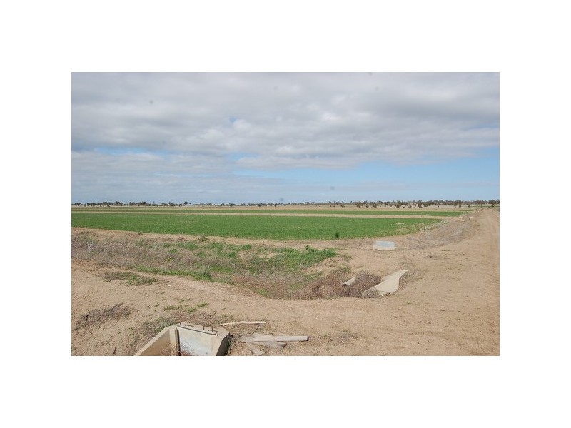 Farm 2695 Martins Road, Widgelli NSW 2680