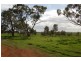 Farm 2695 Martins Road, Widgelli NSW 2680