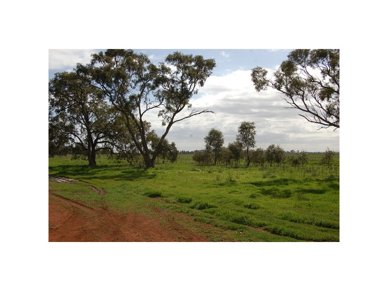 Farm 2695 Martins Road, Widgelli NSW 2680
