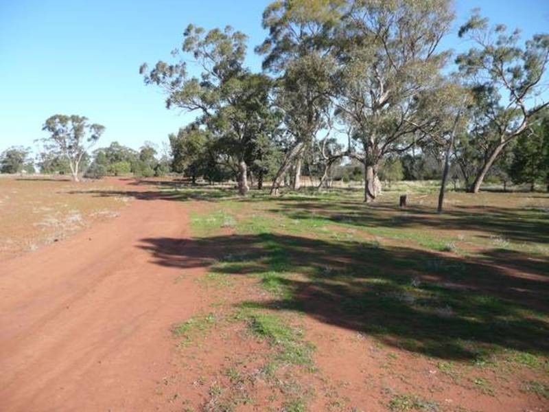 Tabbita NSW 2652