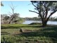 Tabbita NSW 2652