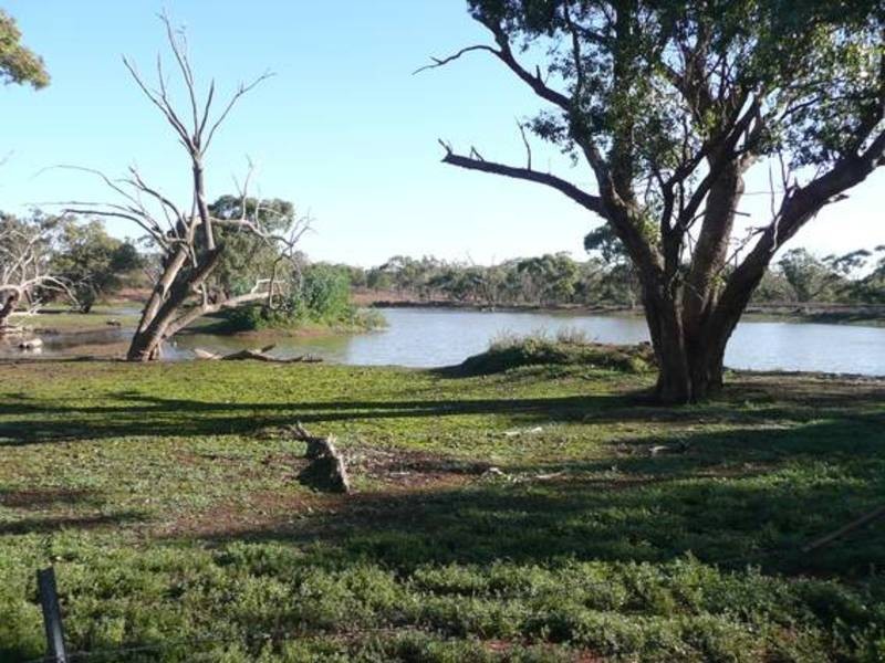 Tabbita NSW 2652