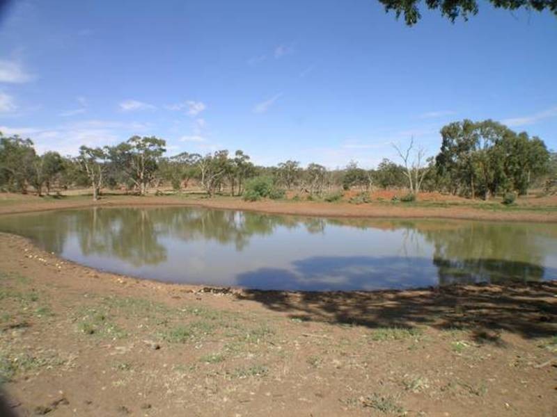 Tabbita NSW 2652
