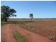 Tabbita NSW 2652