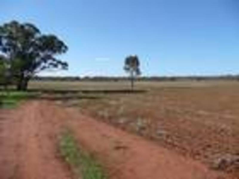 Tabbita NSW 2652