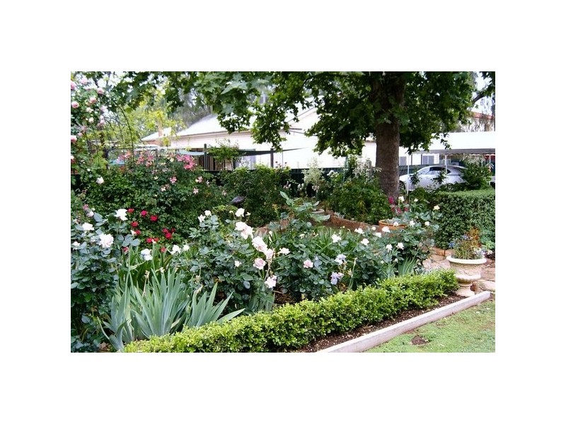 13-15 Twynam Street, Narrandera NSW 2700