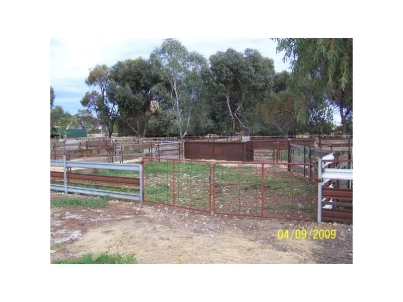 Farm  1640 Myall Park Road, Yenda NSW 2681