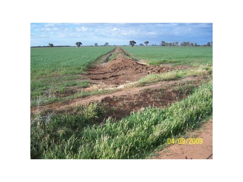 Farm  1640 Myall Park Road, Yenda NSW 2681