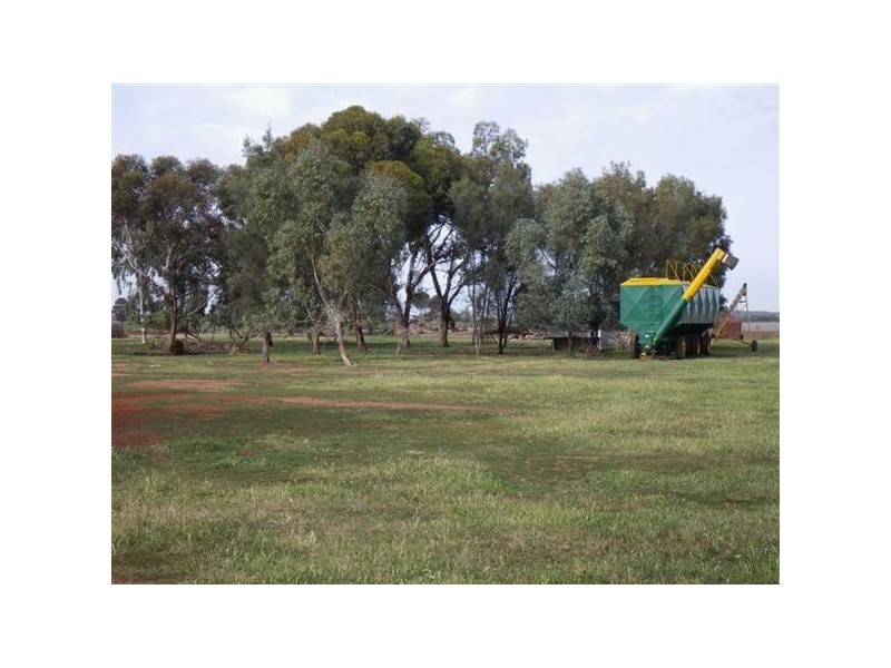 Farm  1640 Myall Park Road, Yenda NSW 2681