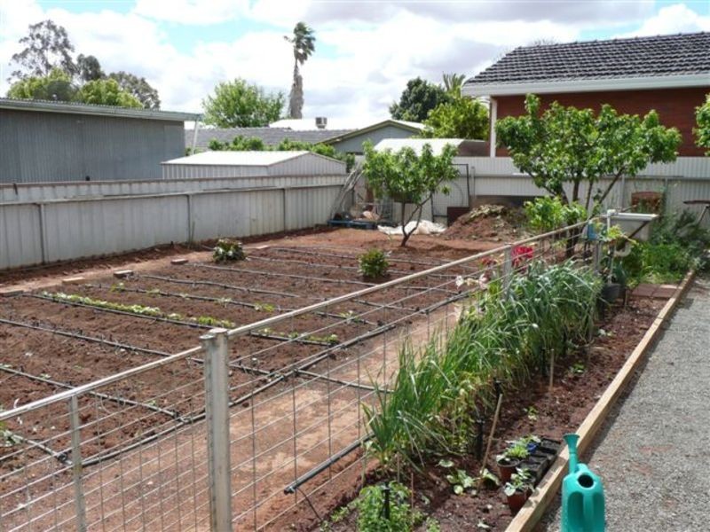 172 Merrigal Street, Griffith NSW 2680