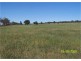 Pine Meadows, Rankins Springs NSW 2669
