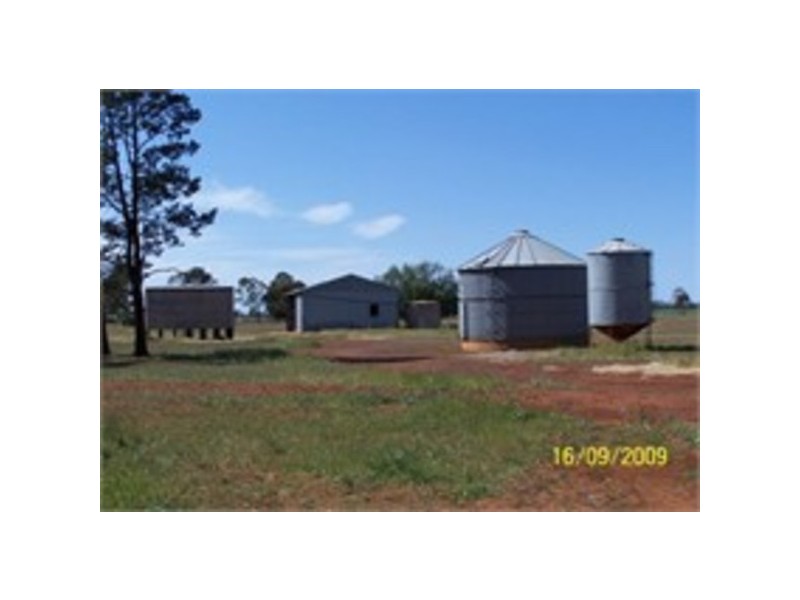 Pine Meadows, Rankins Springs NSW 2669