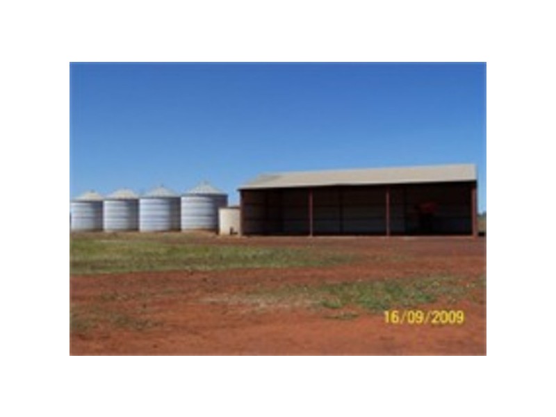 Pine Meadows, Rankins Springs NSW 2669