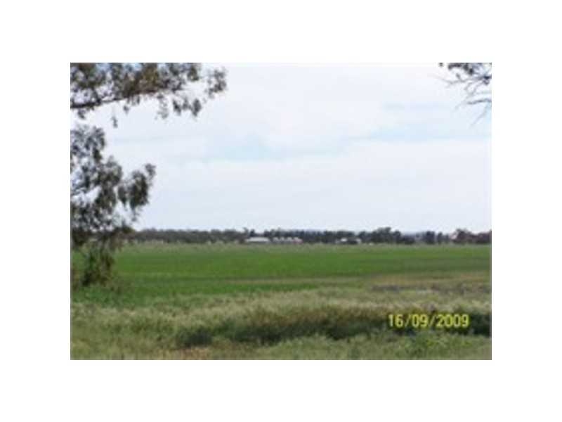 Pine Meadows, Rankins Springs NSW 2669