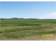 Pine Meadows, Rankins Springs NSW 2669