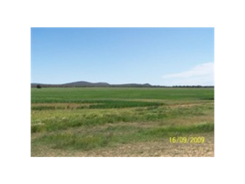 Pine Meadows, Rankins Springs NSW 2669