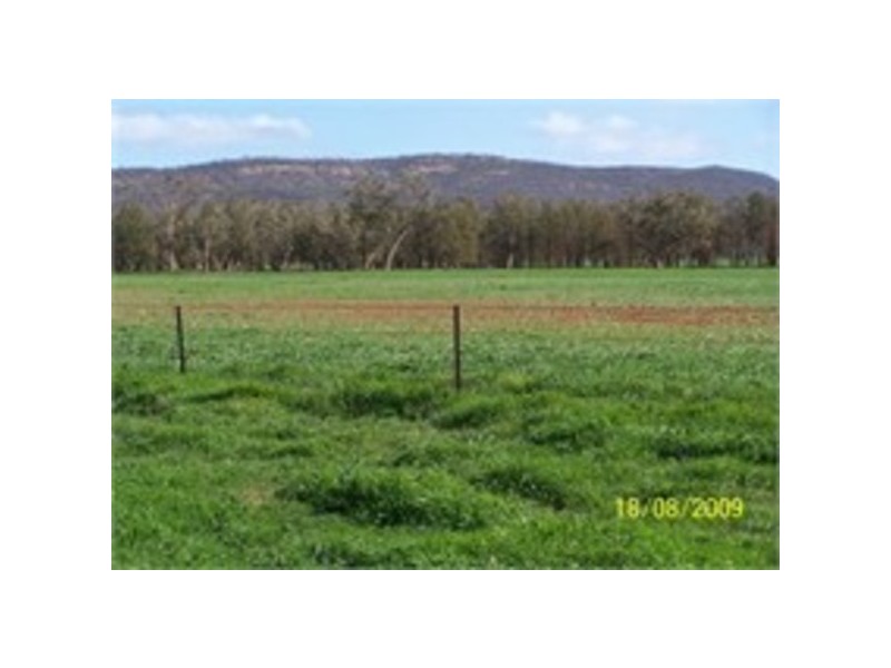 Uralba Uralba, Naradhan NSW 2669