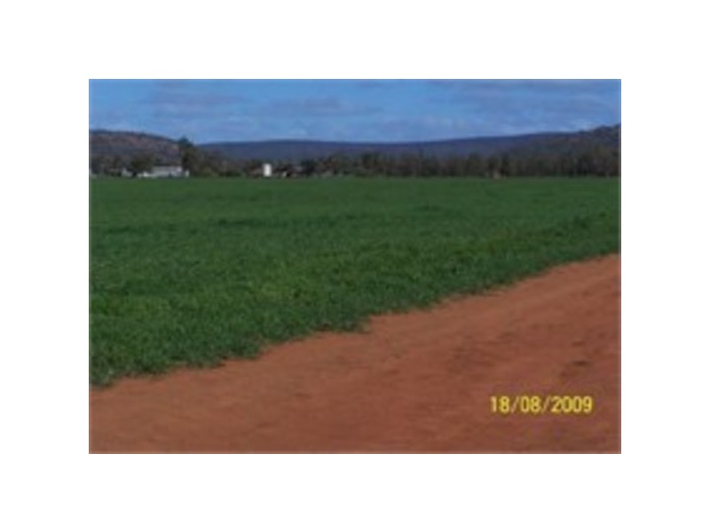 Uralba Uralba, Naradhan NSW 2669