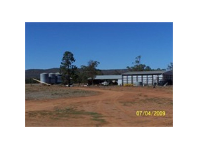 Uralba Uralba, Naradhan NSW 2669