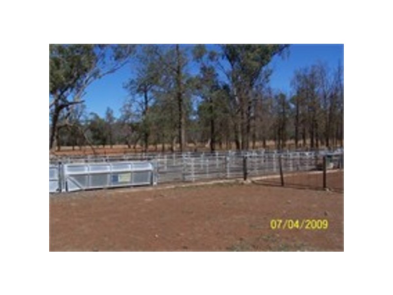 Uralba Uralba, Naradhan NSW 2669