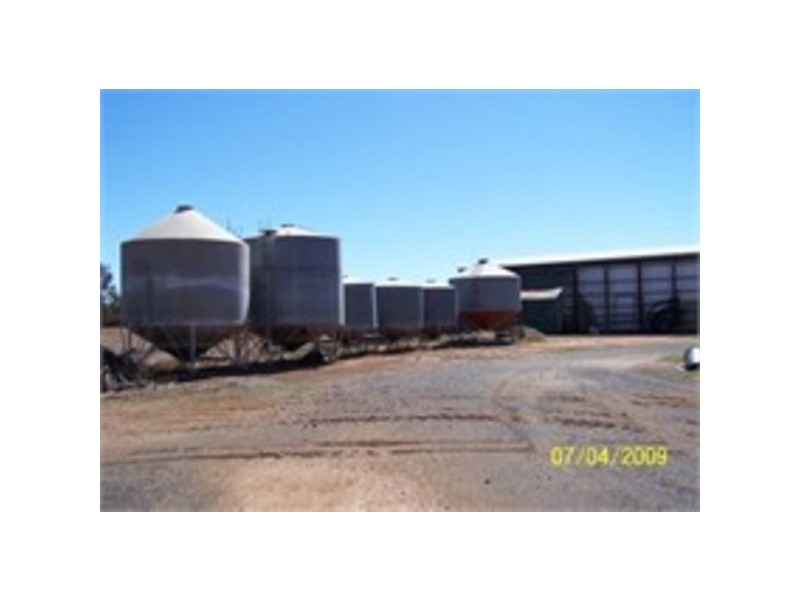 Uralba Uralba, Naradhan NSW 2669