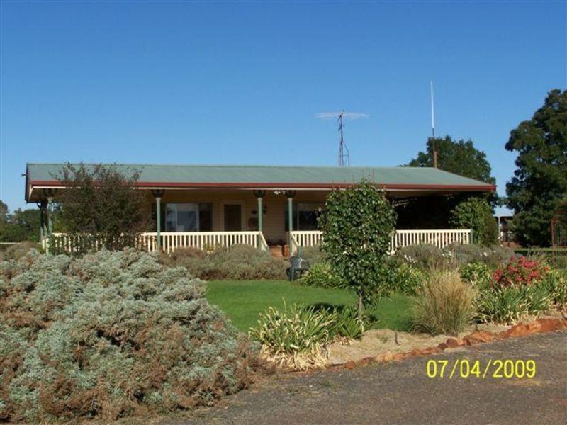 Molonga Molonga, Weethalle NSW 2669