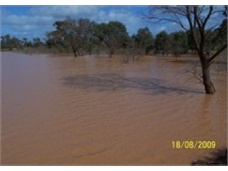 Molonga Molonga, Weethalle NSW 2669