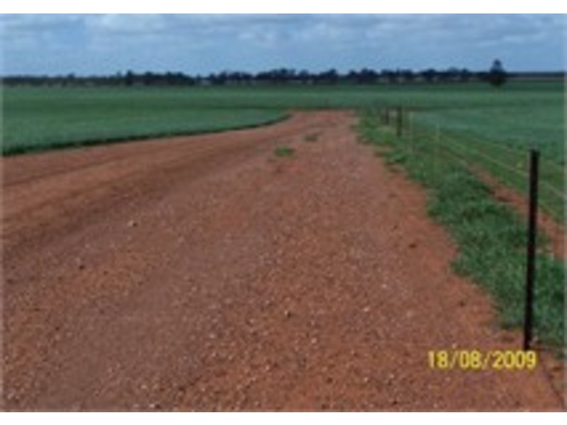 Molonga Molonga, Weethalle NSW 2669