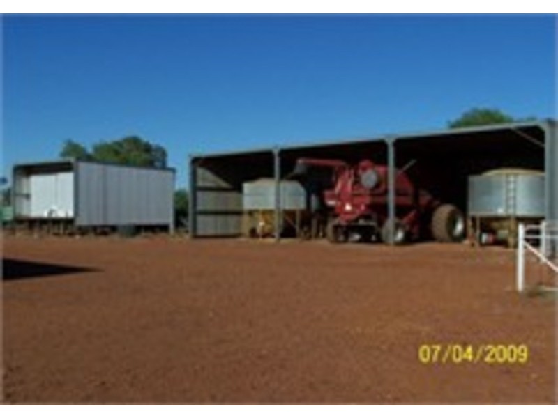 Molonga Molonga, Weethalle NSW 2669