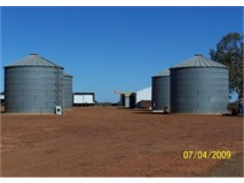 Molonga Molonga, Weethalle NSW 2669