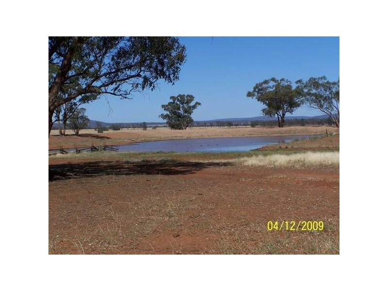 Curiong Curiong, Rankins Springs NSW 2669