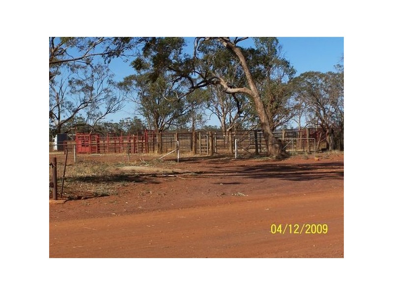 Pine Meadows & Curiong, Rankins Springs NSW 2669