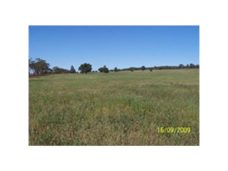 Pine Meadows & Curiong, Rankins Springs NSW 2669