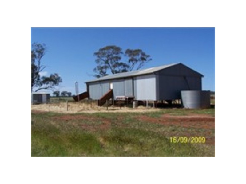 Pine Meadows & Curiong, Rankins Springs NSW 2669