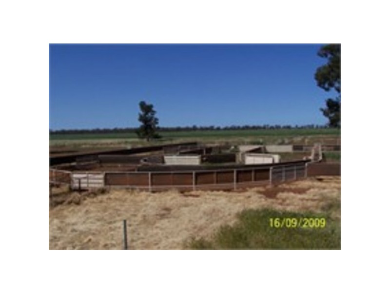 Pine Meadows & Curiong, Rankins Springs NSW 2669