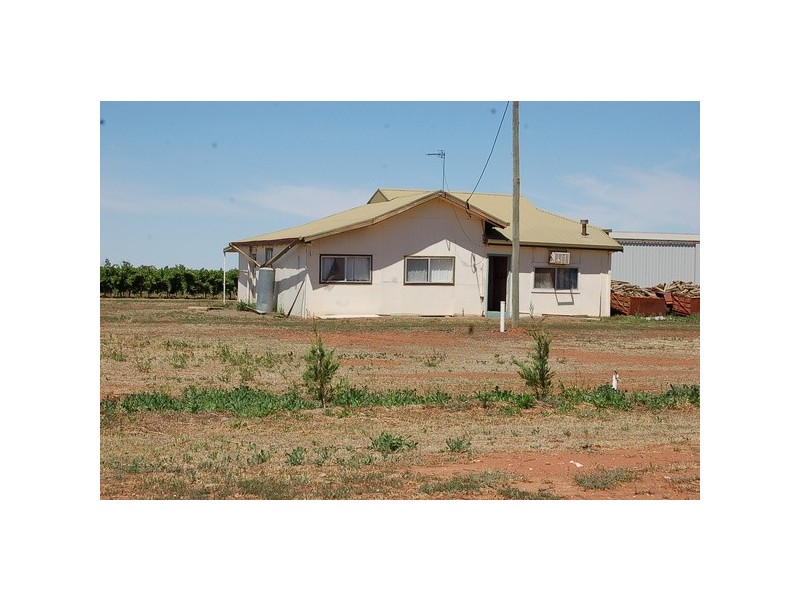 Farm 1506 McClure Road, Yenda NSW 2681