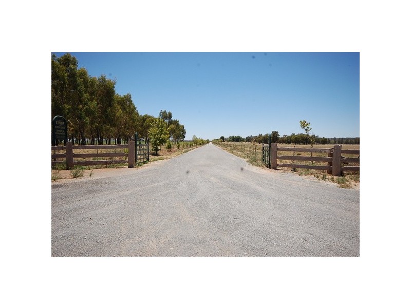 958 Irrigation Way, Cudgel NSW 2700