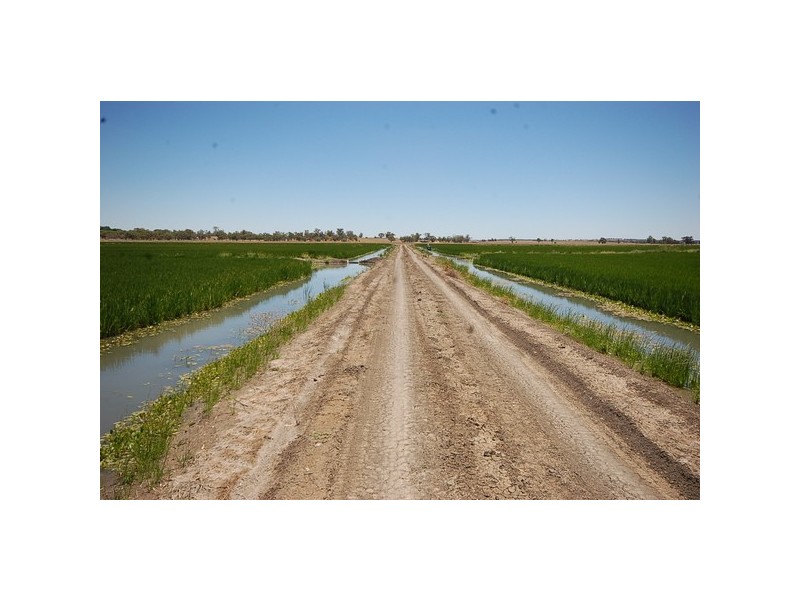 958 Irrigation Way, Cudgel NSW 2700