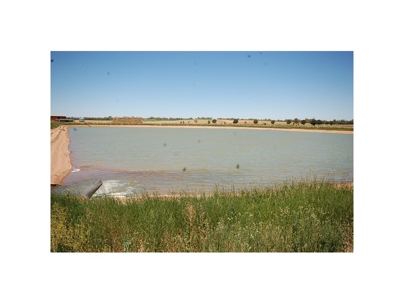 958 Irrigation Way, Cudgel NSW 2700