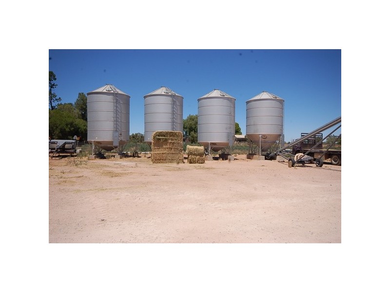 958 Irrigation Way, Cudgel NSW 2700