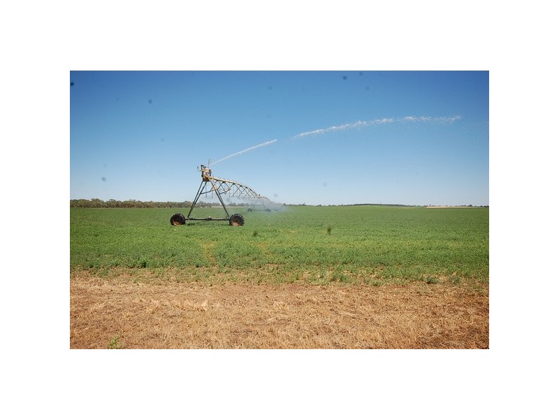 958 Irrigation Way, Cudgel NSW 2700