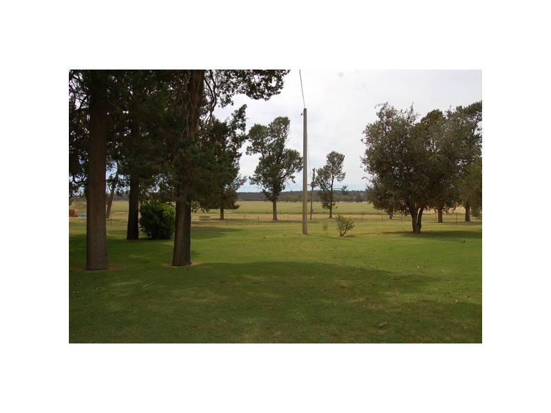 958 Irrigation Way, Cudgel NSW 2700